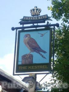 Picture of The Kestrel