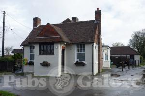 Picture of The Cat & Custard Pot