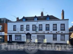 Picture of The Green Lion