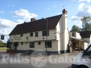 Picture of White Horse