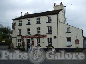 Picture of The Greyhound