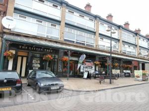 Picture of The Litten Tree