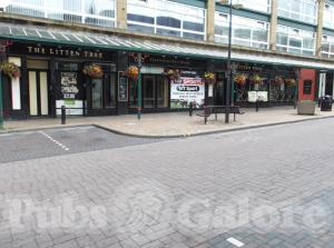 Picture of The Litten Tree