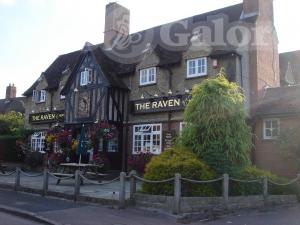 Picture of The Raven