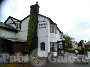 Picture of The White Swan