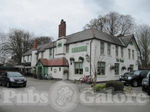 Picture of The Swan