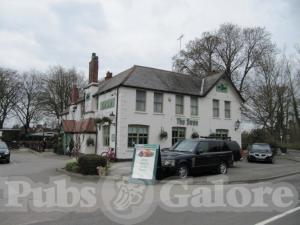 Picture of The Swan