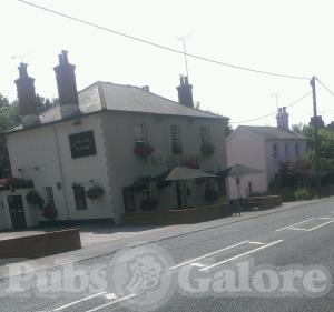 Picture of Fox and Hounds