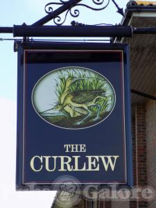Picture of The Curlew