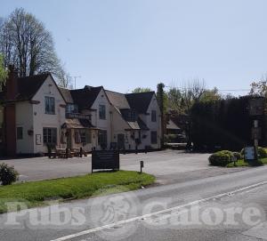 Picture of The Poacher