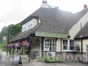 Picture of The Flying Bull