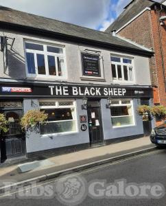 Picture of The Black Sheep