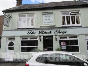 Picture of The Black Sheep