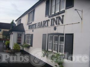 Picture of The White Hart