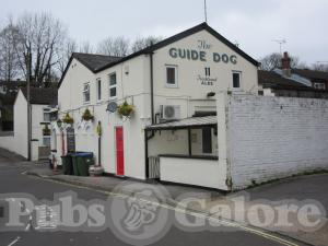 Picture of The Guide Dog