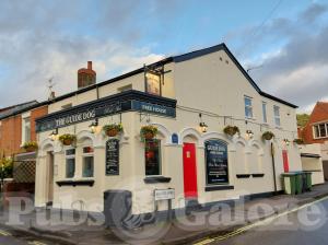 Picture of The Guide Dog