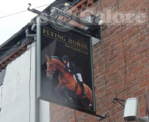 Picture of Flying Horse