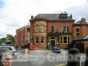 Picture of The Lloyds