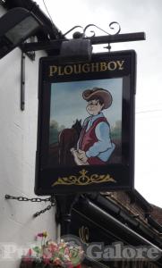 Picture of The Plough Boy