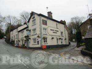 Picture of The White Horse