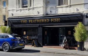 Picture of The Feathered Fish