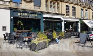 Picture of Harry Cook