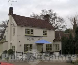 Picture of Apple Tree