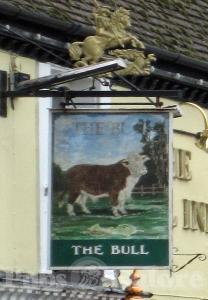 Picture of The Bull