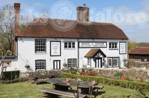 Picture of The Horse and Groom