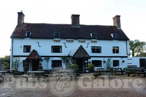 Picture of The Old Oak