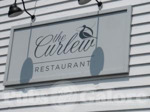Picture of The Curlew
