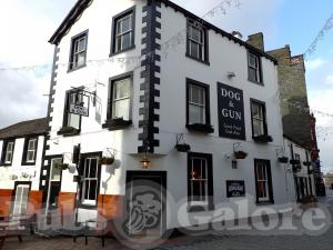 Picture of Dog & Gun