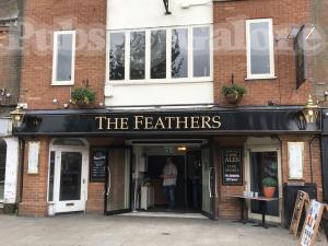 Picture of The Feathers