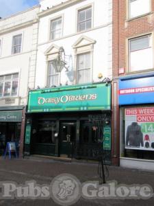 Picture of Daisy O'Briens