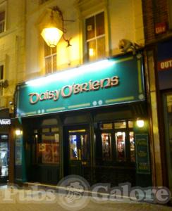 Picture of Daisy O'Briens