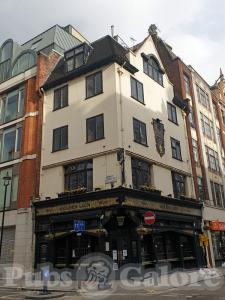 Picture of Golden Lion