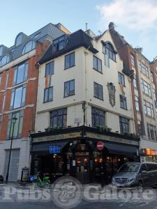 Picture of Golden Lion