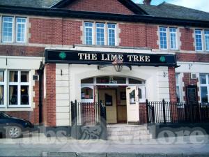 Picture of Lime Tree