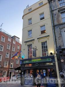 Picture of The Duke of Wellington