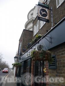 Picture of The Roebuck
