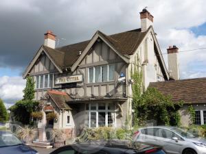 Picture of The Otter