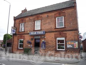 Picture of The Pear Tree