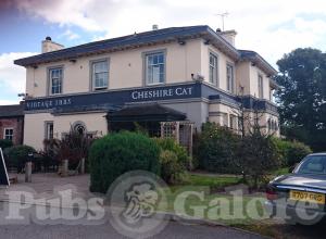 Picture of The Cheshire Cat