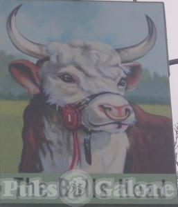 Picture of The Bulls Head