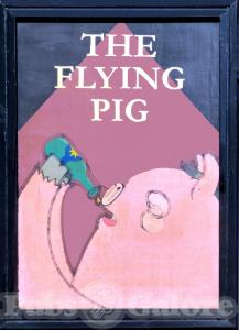 Picture of The Flying Pig