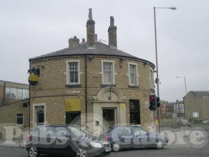 Picture of The Ivy Green