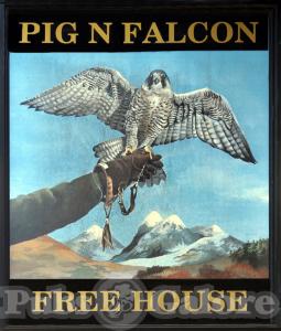 Picture of Pig n Falcon