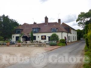 Picture of The Yew Tree