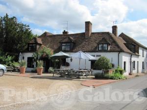 Picture of The Yew Tree