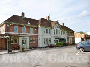Picture of The Caversham Rose